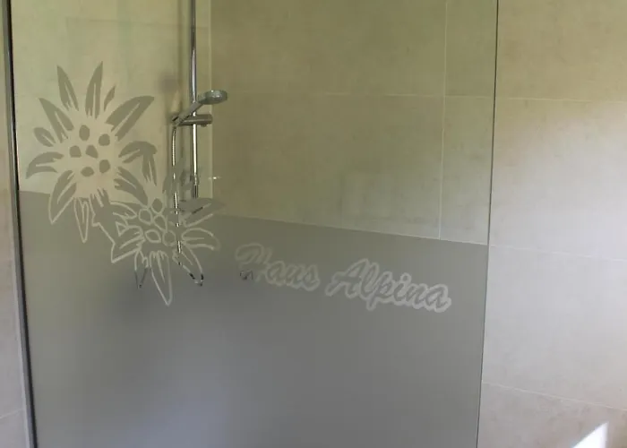 Haus Alpina & Schoepf 3* Λάνγκενφελντ